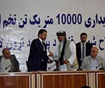 200,000 Farmers to  Get Improved Wheat Seed
